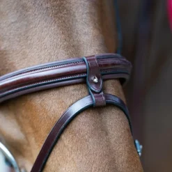 Jump'In - Bridon muserolle combinée Evolution noisette