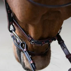 Jump'In - Bridon muserolle combinée Evolution noisette