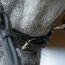 Jump'In - Bridon muserolle allemande Evolution noir