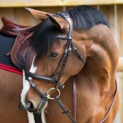 Jump'In - Bridon muserolle combinée Evolution havane