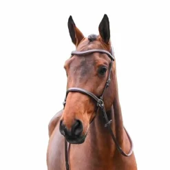 Jump'In - Bridon One bitless noisette