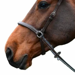 Jump'In - Bridon One bitless noisette