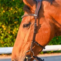 Jump'In - Bridon One liberty noisette/ noir