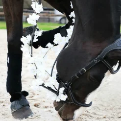 Jump'In - Bridon One New York avec rênes noir