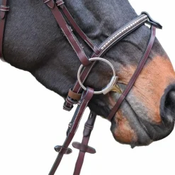 Jump'In - Bridon One Premium Clincher havane