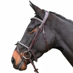 Jump'In - Bridon One Premium Clincher havane