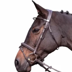 Jump'In - Bridon Wednesday muserolle combinée havane