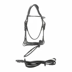 Jump'In - Bridon Week Friday avec rênes