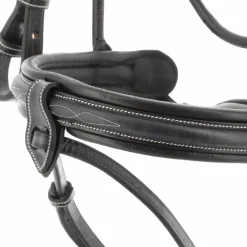 Jump'In - Bridon Week Friday avec rênes