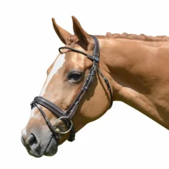 Jump'In - Bridon Week Friday avec rênes