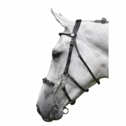 Jump'In - Bridon Week Hackamore avec rênes noir