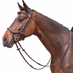 Jump'in - Bridon Week Summer havane