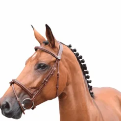 Jump'In - Bridon Week Thursday muserolle combinée avec rênes