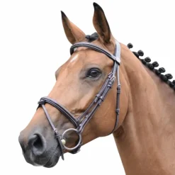 Jump'In - Bridon Week Thursday muserolle combinée avec rênes