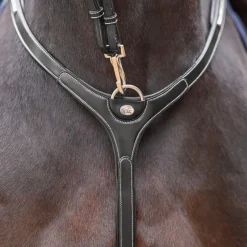 Jump'In - Collier de chasse et fourche de martingale Premium Clincher noir