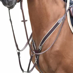 Jump'In - Collier de chasse élastique + martingale One Noir
