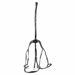 Jump'In - Collier de chasse 5 points + martingale One Noir