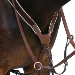 Jump'In - Collier de chasse élastique + martingale One Noisette