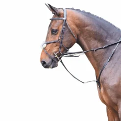 Jump'in - Enrênement Howlett Week