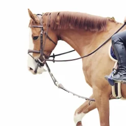 Jump'In - Enrênement Patrick