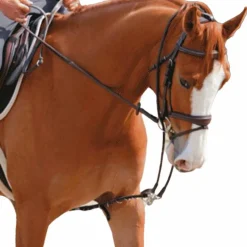 Jump'In - Enrênement Patrick