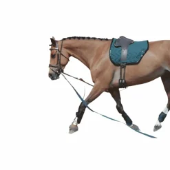 Jump'In - Enrênement Patrick