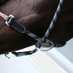 Jump'In - Licol cheval One Travel noir