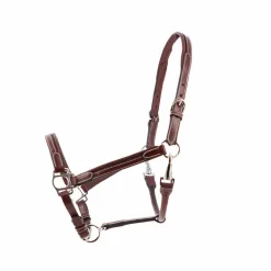 Jump'In - Licol cheval Week de pansage Acajou