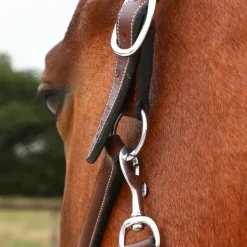 Jump'In - Licol de pansage One Noisette