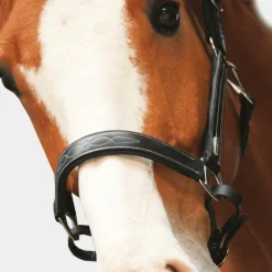 Jump'In - Licol Fancy One noir