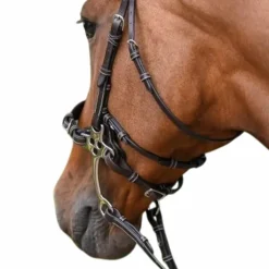 Jump'In - Montants et lanière pour hackamore collection Week noir