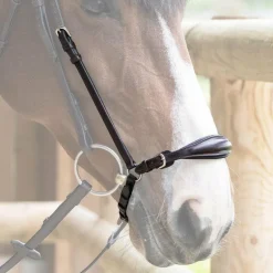 Jump'In - Muserolle allemande Evolution havane