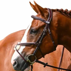 Jump'In - Muserolle croisée Tuesday acajou