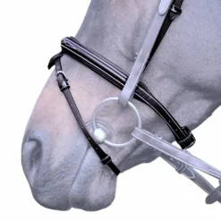 Jump'In - Muserolle croisée Wednesday noir