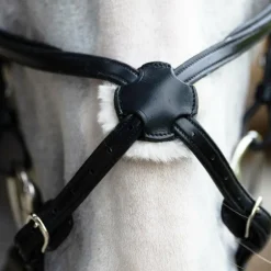 Jump'In - Muserolle croisée Evolution noir