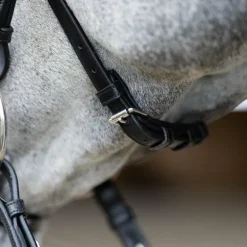 Jump'In - Muserolle croisée Evolution noir