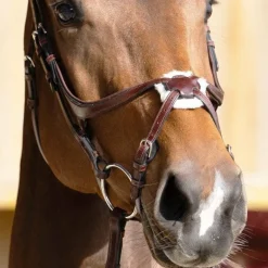 Jump'In - Muserolle croisée Evolution noisette