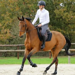 Jump'In - Pantalon d'équitation homme Super X gris