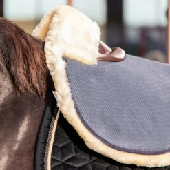 Kentucky Horsewear - Amortisseur pour chevaux mouton Absorb marine