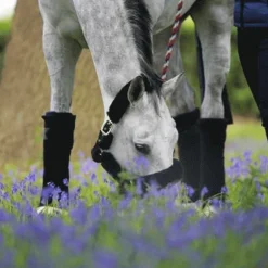 Kentucky Horsewear - Bandes de repos marine (x4)