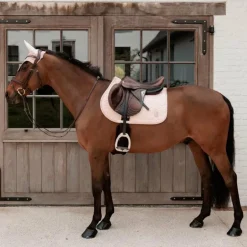 Kentucky Horsewear - Bonnet pour chevaux Wellington Sparkling vieux rose