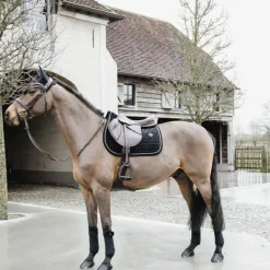 Kentucky Horsewear - Bonnet Wellington basic velvet noir