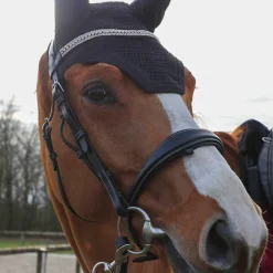 Kentucky Horsewear - Bonnet Wellington noir