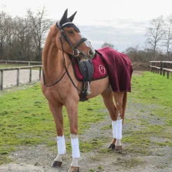 Kentucky Horsewear - Bonnet Wellington noir