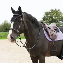 Kentucky Horsewear - Bonnet anti-bruits pour cheval Wellington Glitter Stone noir