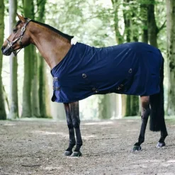 Kentucky Horsewear - Chemise coton marine 0g