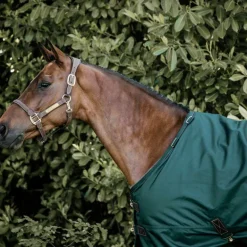 Kentucky Horsewear - Couverture d'extérieur all weather imperméable Vert 160g