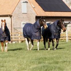Kentucky Horsewear - Couverture d'extérieur Turnout all weather marine 150g