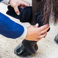 Kentucky Horsewear - Guêtres de cross courtes postérieurs 3D Air Flow noir