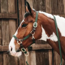 Kentucky Horsewear - Licol cheval nylon tressé vert olive
